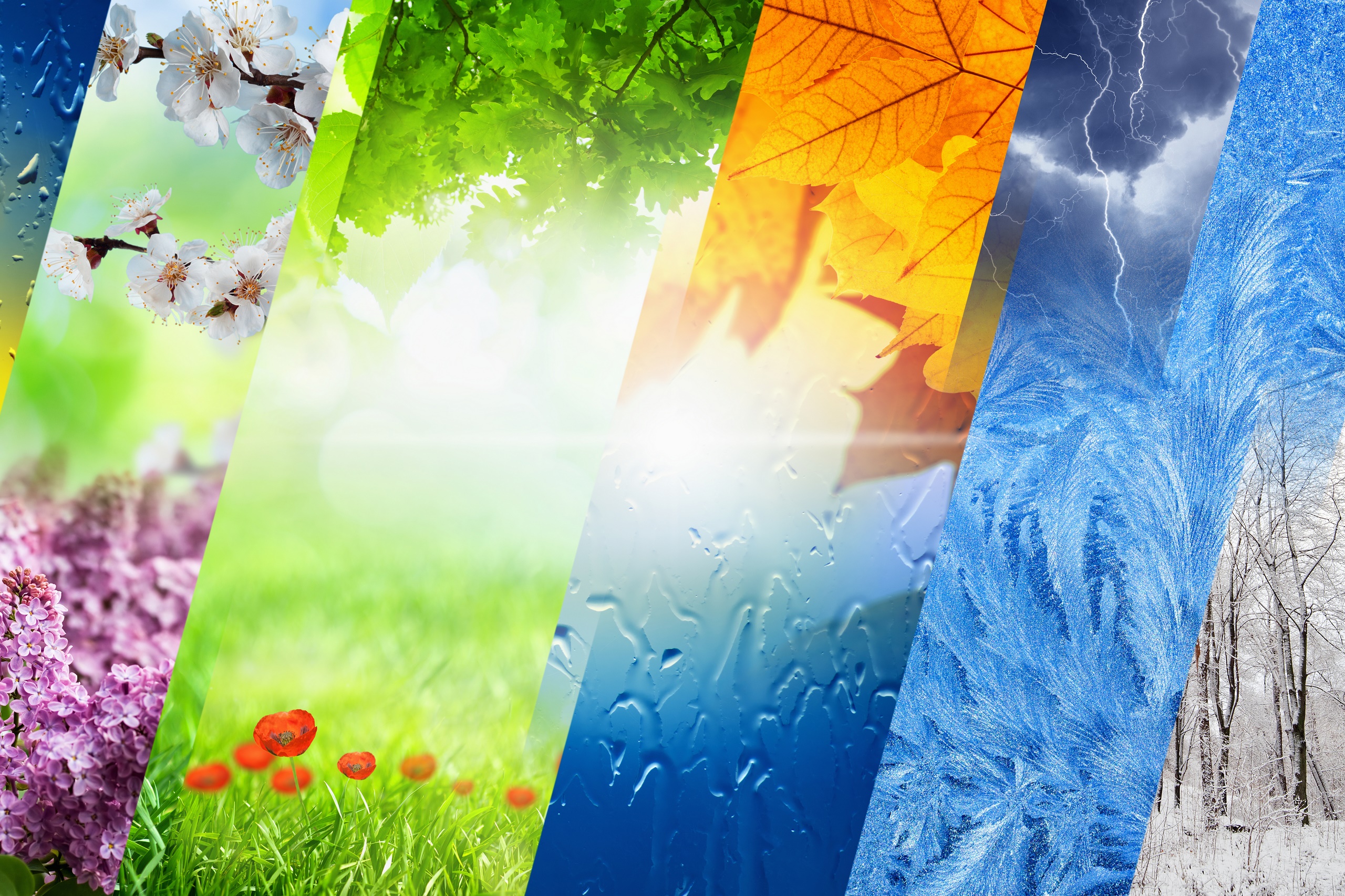 Аватар клиента